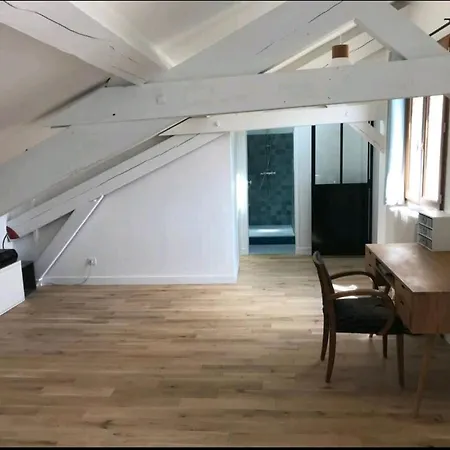 La Grosse Mignonne - Montreuil Centre Tatil Evi Montreuil (Seine-Saint-Denis)